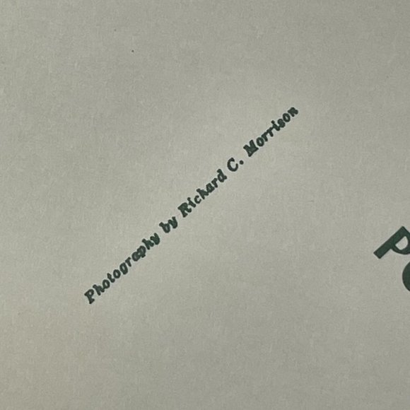 Stouffer's Anacapri Inn Fort Lauderdale Large 8.25 Inch UNUSED Postcard Vintage - Picture 9 of 9